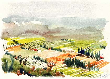 Provence countryside