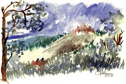 Running through the woods